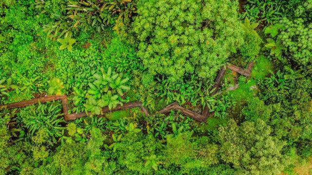 Mindo Garden Lodge And Wildlife Reserve Ngoại thất bức ảnh