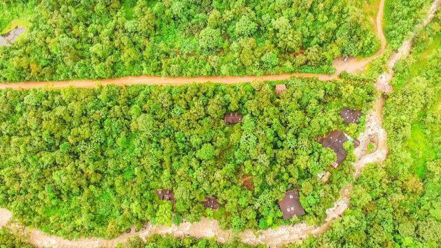 Mindo Garden Lodge And Wildlife Reserve Ngoại thất bức ảnh