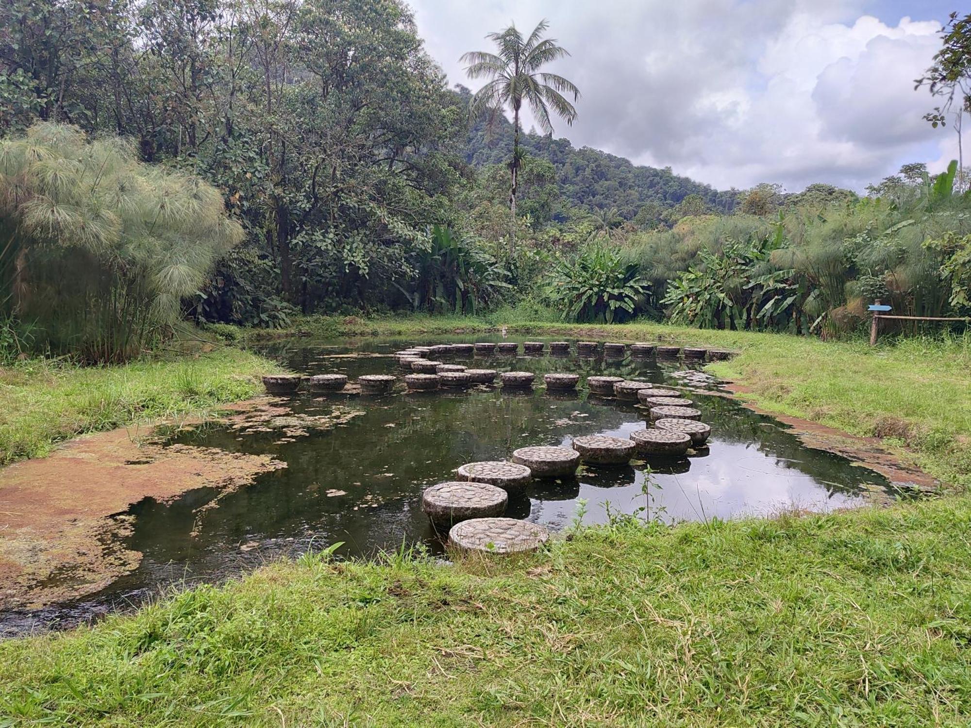 Mindo Garden Lodge And Wildlife Reserve Ngoại thất bức ảnh