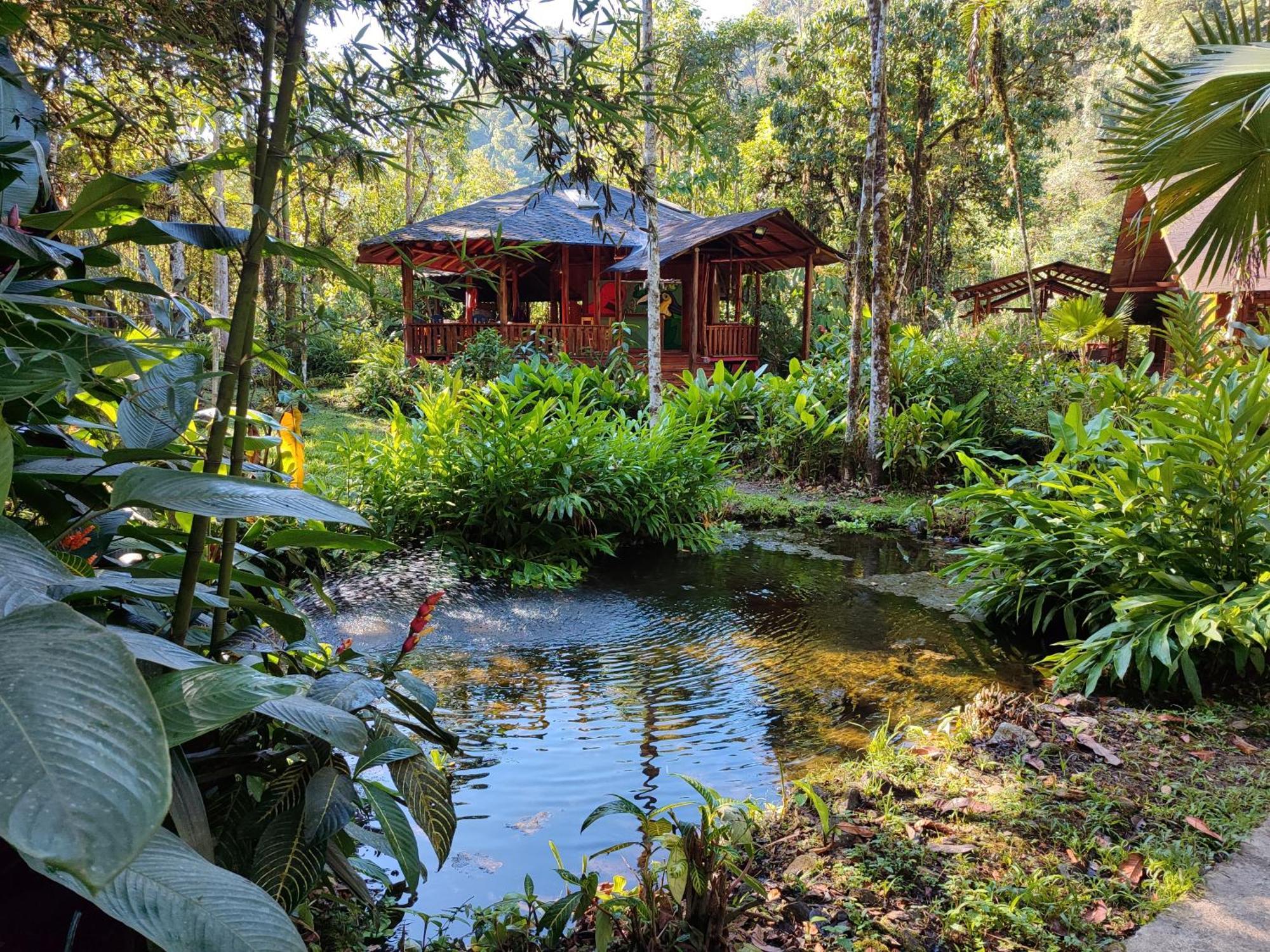 Mindo Garden Lodge And Wildlife Reserve Ngoại thất bức ảnh